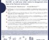 Research Brief N°6